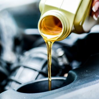 Oil Change & Maintenance